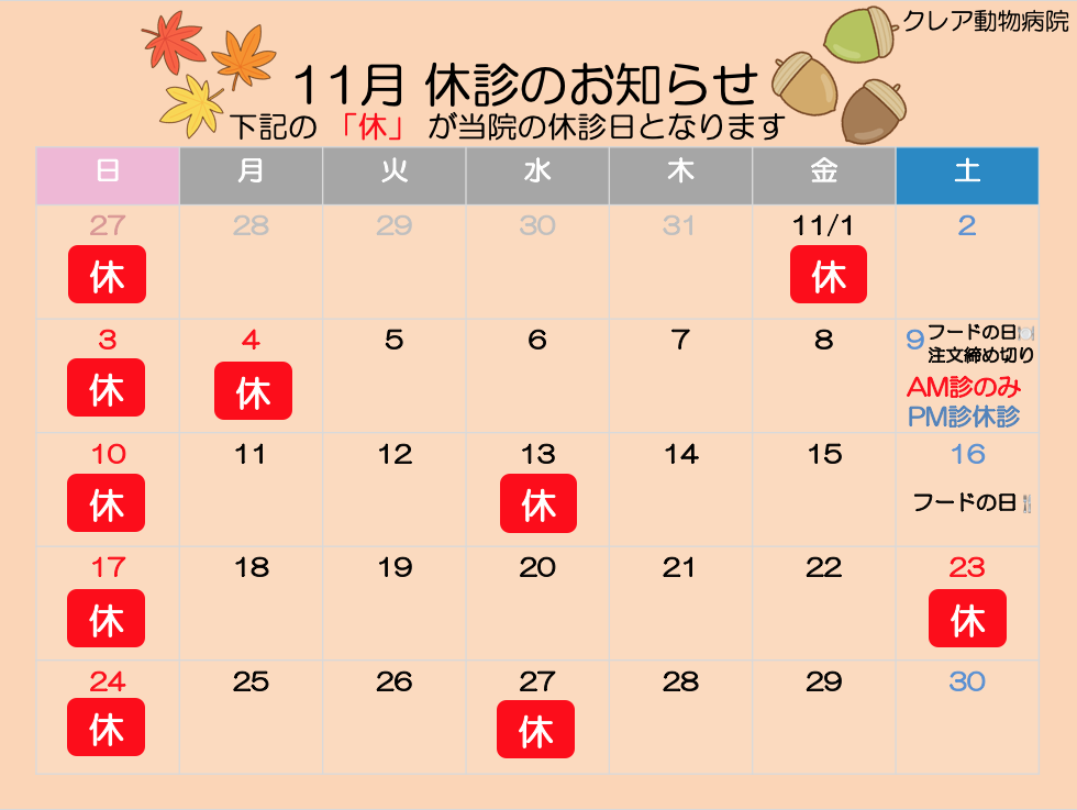 11月 休診のお知らせ